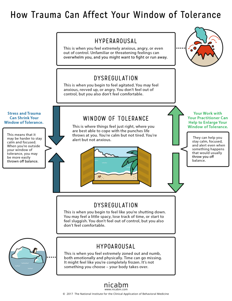 Understanding and Working with the Window of Tolerance  Nessa Chapman